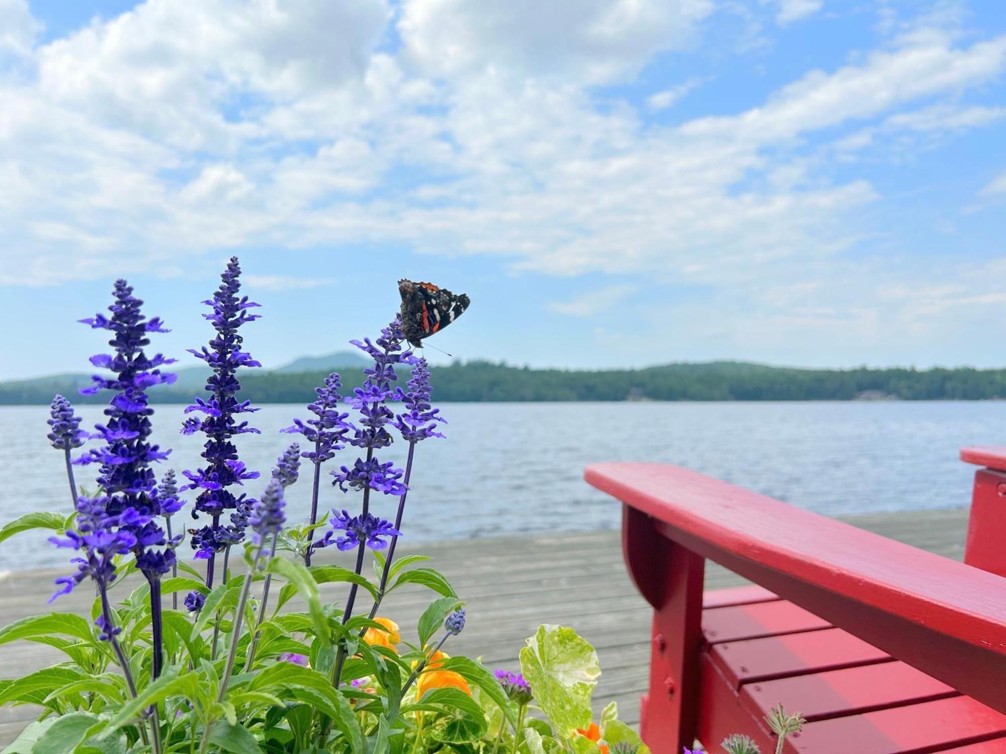 Paddler'S Rest Lakeside Cabins And Motel Long Lake Exteriér fotografie